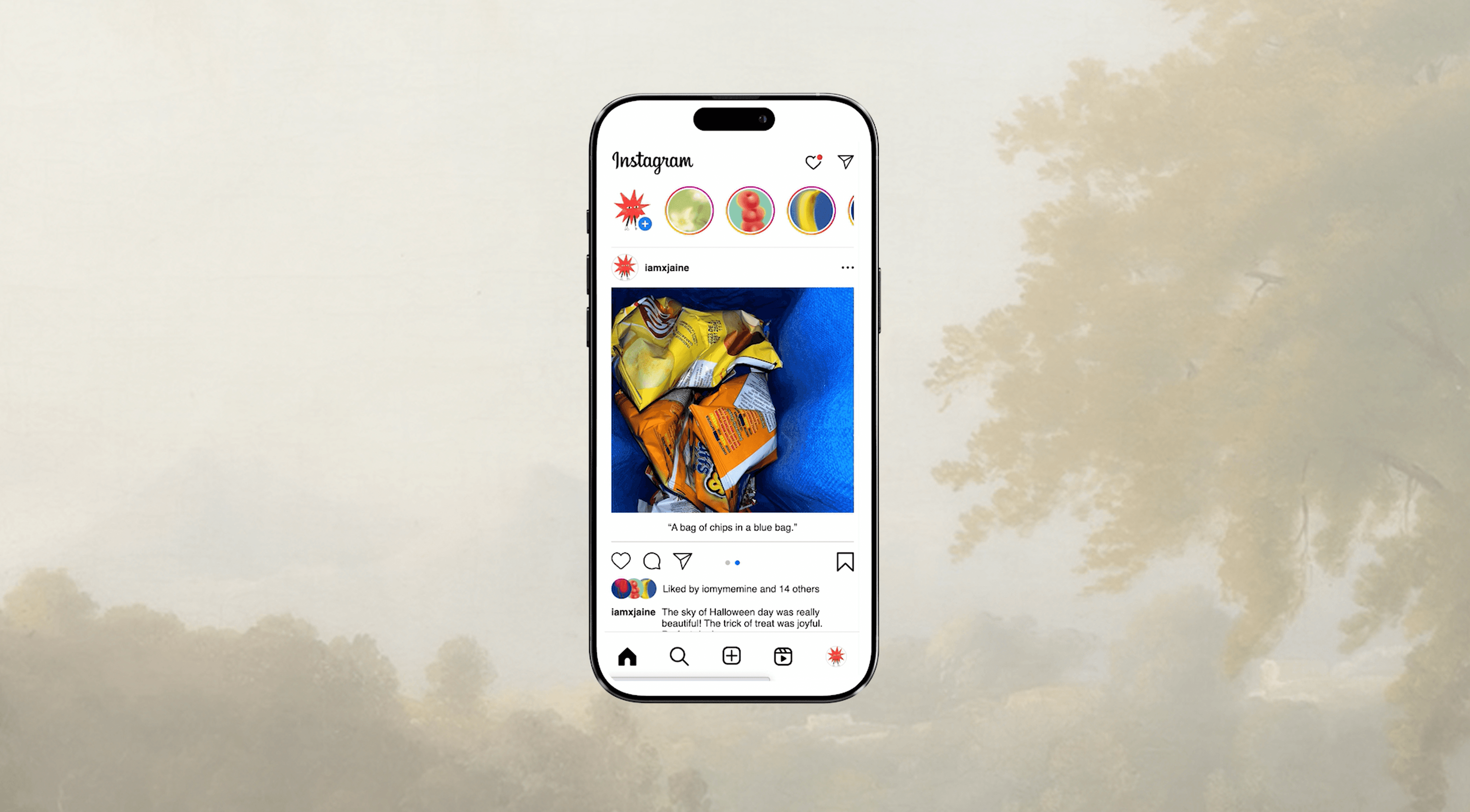 Instagram Accessibility